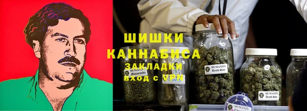 ПСИЛОЦИБИНОВЫЕ ГРИБЫ Бородино