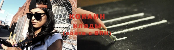 дурь Бронницы