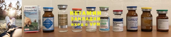 ПСИЛОЦИБИНОВЫЕ ГРИБЫ Бородино