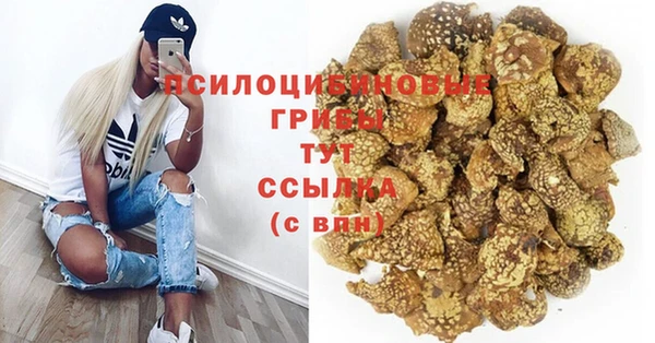 ПСИЛОЦИБИНОВЫЕ ГРИБЫ Бородино