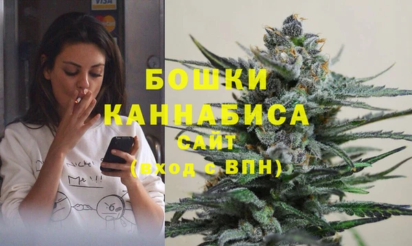 ПСИЛОЦИБИНОВЫЕ ГРИБЫ Бородино