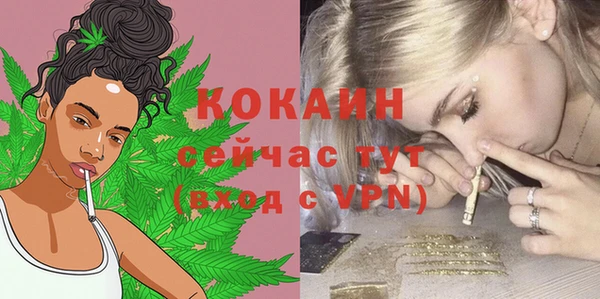 дурь Бронницы