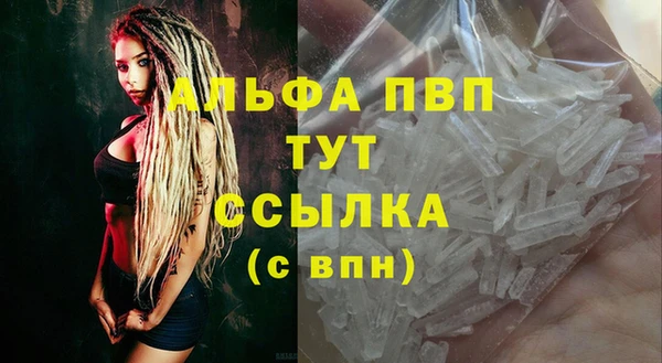 ПСИЛОЦИБИНОВЫЕ ГРИБЫ Бородино
