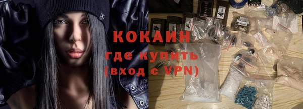 ПСИЛОЦИБИНОВЫЕ ГРИБЫ Бородино